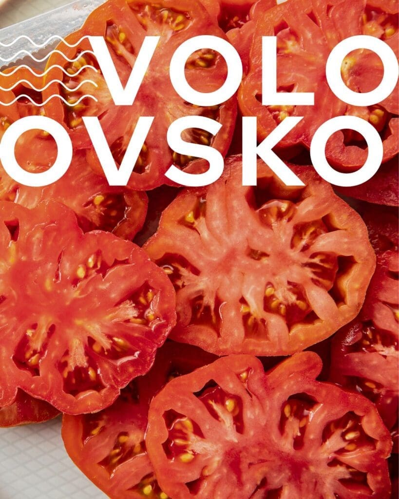 Rajčica volovsko srce